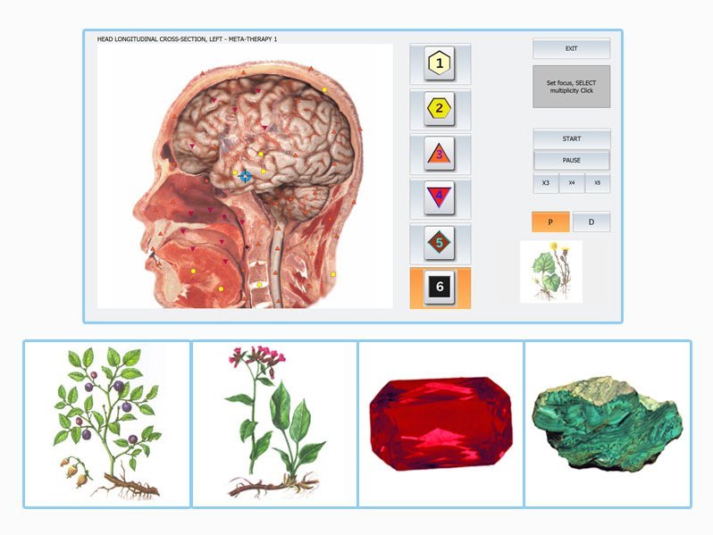 Biophilia META therapy interface showing frequency correction